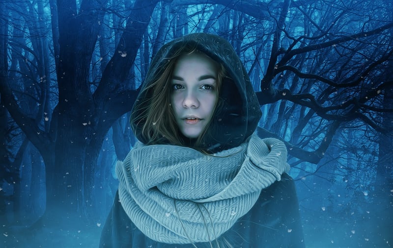 Enchanted Forest Image